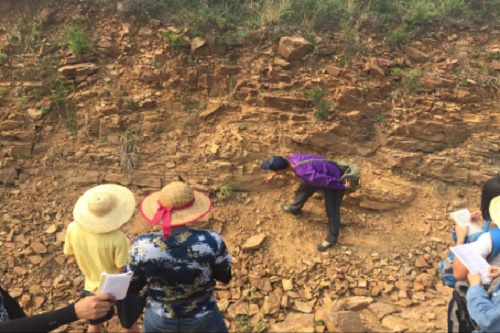 实习生活之鸡冠山