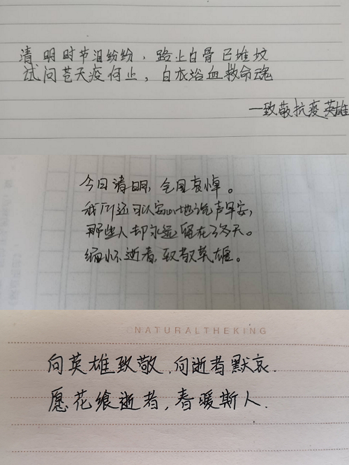 清明追思家国永念，致敬抗疫英雄一路走好