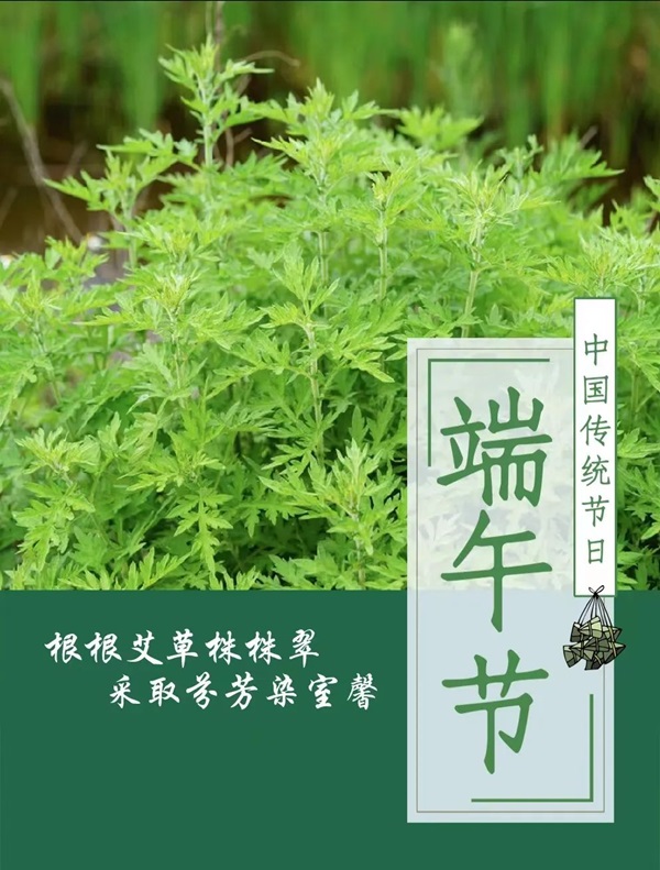 xhjc1188新黄金城||管理学院||端午送福利 关怀沁人心——我院为教职工发放端午节礼品