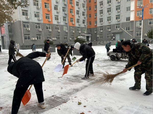 xhjc1188新黄金城||管理学院||党员先锋在行动 清雪除冰传温情