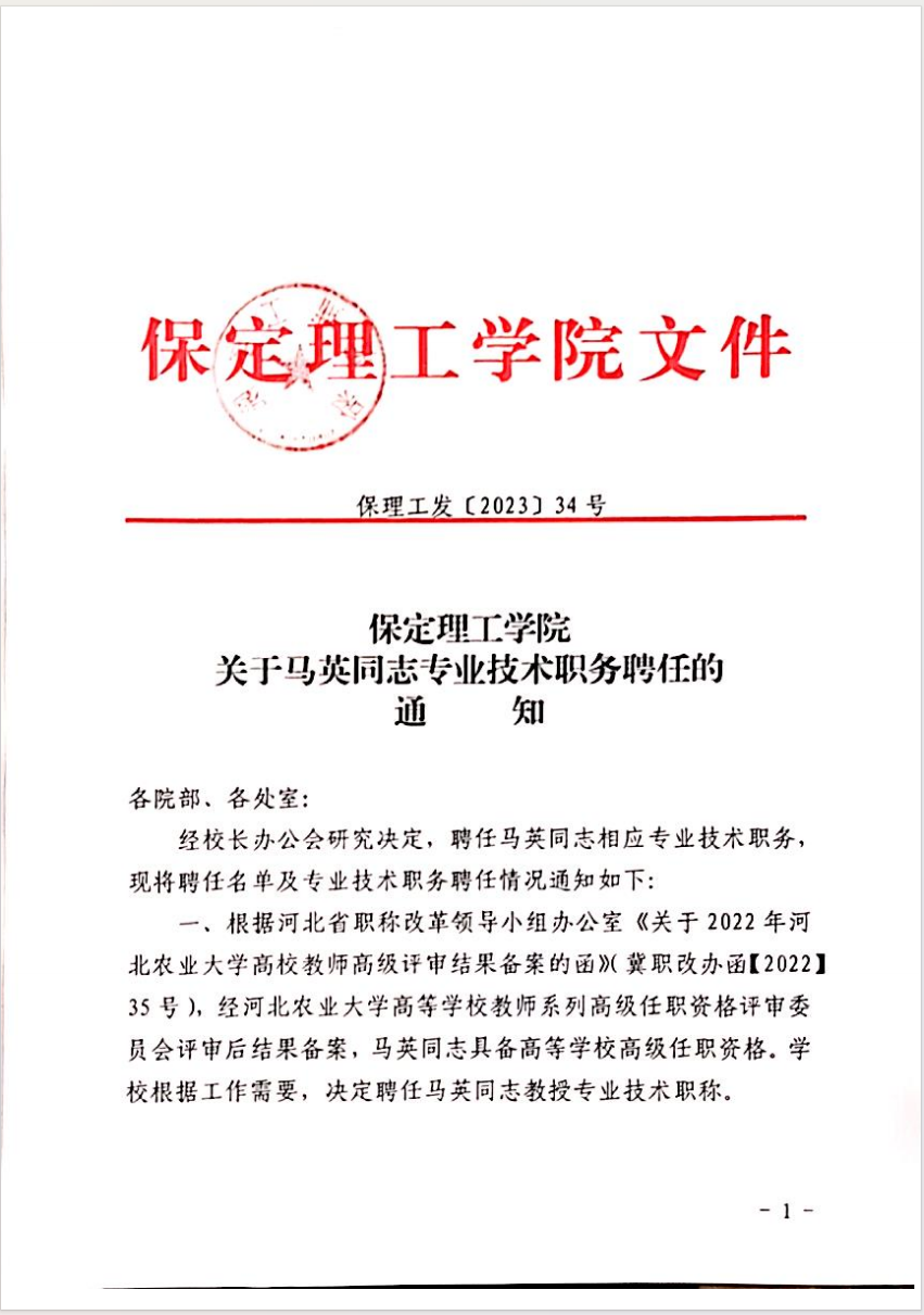 xhjc1188新黄金城关于马英等同志专业技术职务聘任的通知